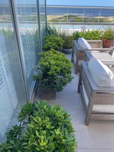Hermoso penthouse en edificio en primera línea al mar 